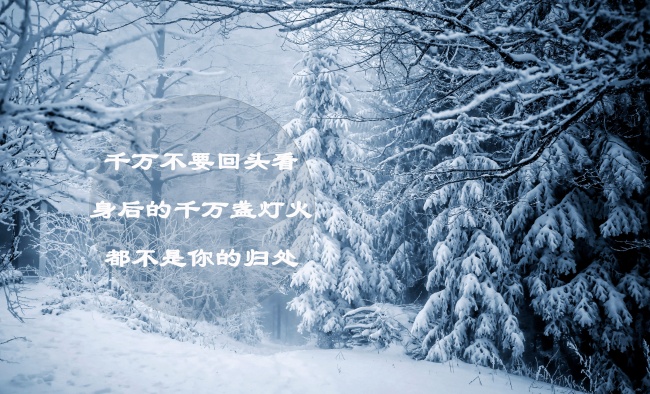 2023年9月20日提车好吗 宜喜提新车吗