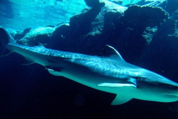 2023年9月14日吉时是什么时辰 哪个时辰最吉利