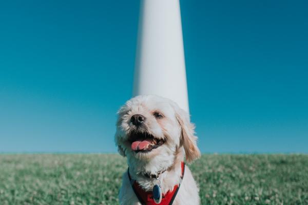 2023年9月24日结婚黄道吉日 今天是良辰吉日吗