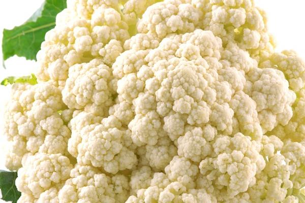 Alex 射手座本周运势详解8.28—9.3