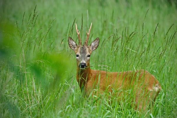 2024会幸福的星座 幸福美满健康顺利