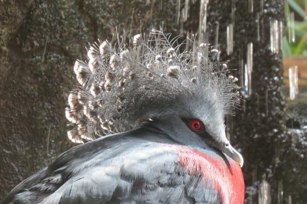 2023年9月16日适合签约吗 签约吉利吗