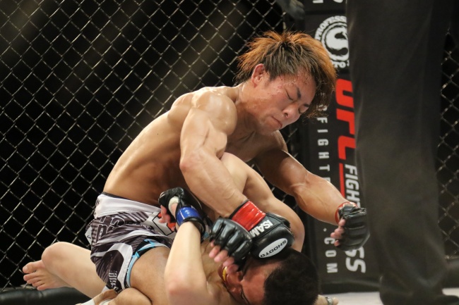 本命年的桃花都是烂桃花吗 如何避开烂桃花呢