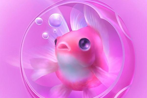 老公拿命宠的星座女 丈夫最疼的星座