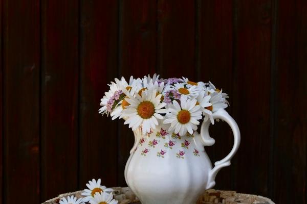 2023年鼠怎么逃过牢狱之灾,如何化解