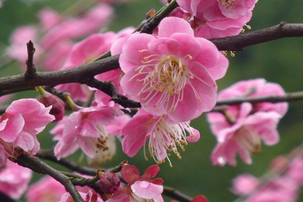 十二星座真实颜值排名,第一名永远的神！