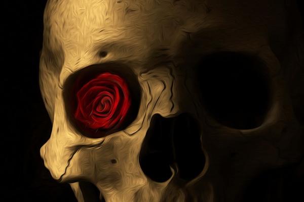 1993最旺属鸡人的5个数字 93年属鸡人最好车牌组合