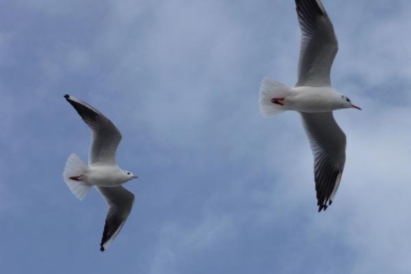 女人31岁结婚不吉利的讲法,结婚需要注意什么