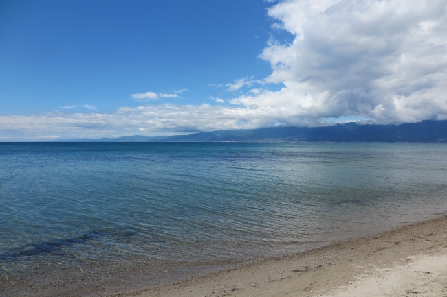 2024年属牛人的禁忌色,属牛最忌讳什么颜色