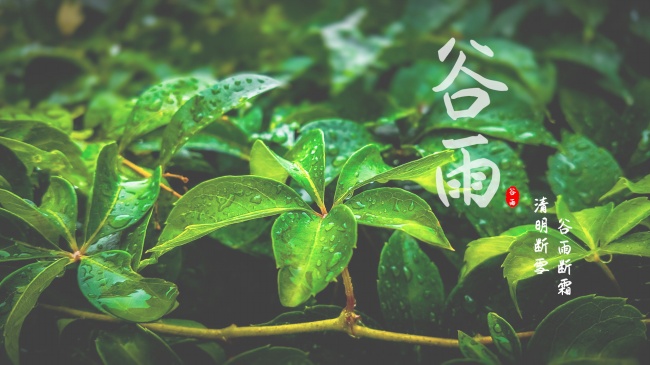 一家有三个属龙的是吉还是凶，需要注意什么