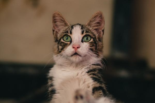 2023年必死的三大星座,真不是危言耸听!