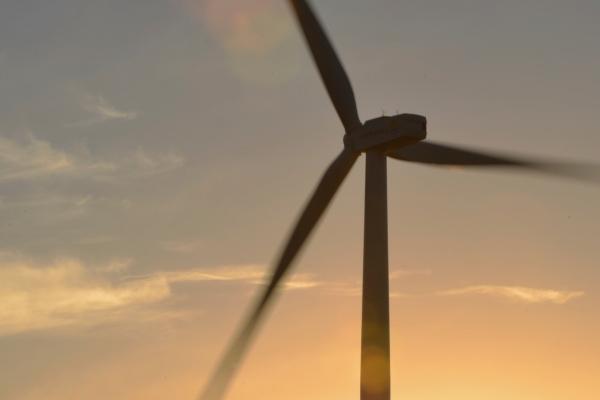 2024运程生肖马 全年运势分析