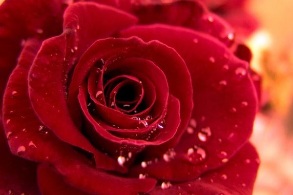 84年属鼠40岁能生下儿子吗，几月生孩子好