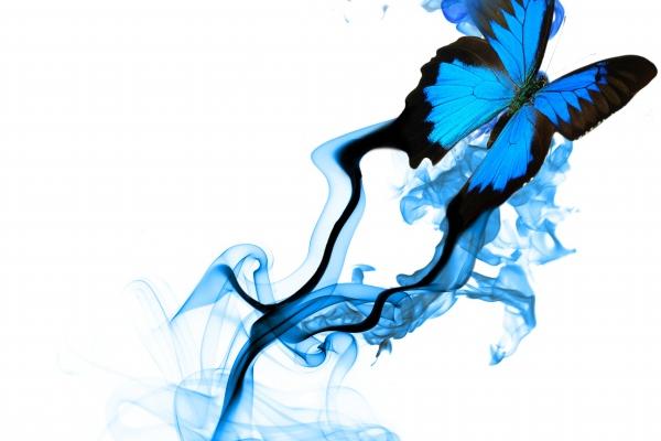 注定富贵一生的星座男,平等地羡慕每一个!