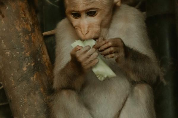 闹闹女巫 0905十二星座今日运势