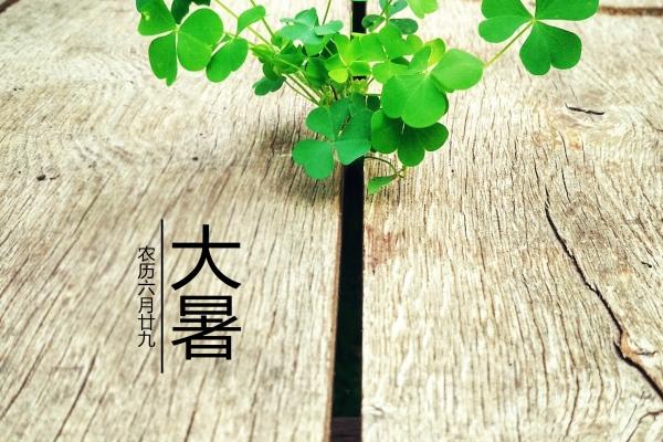 巨蟹跟金牛座的般配率 巨蟹金牛配对配