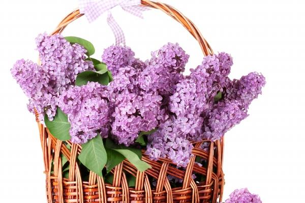 巨蟹座男和天秤座女的婚姻 注定分手