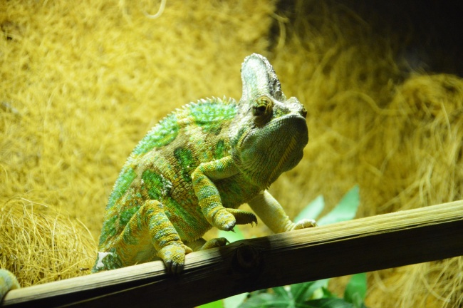 2024年翻身的星座 2024表现好的星座