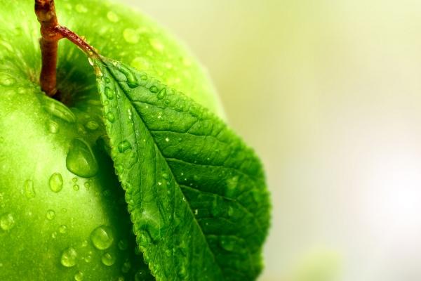 2024年星座的预言 幸运的星座