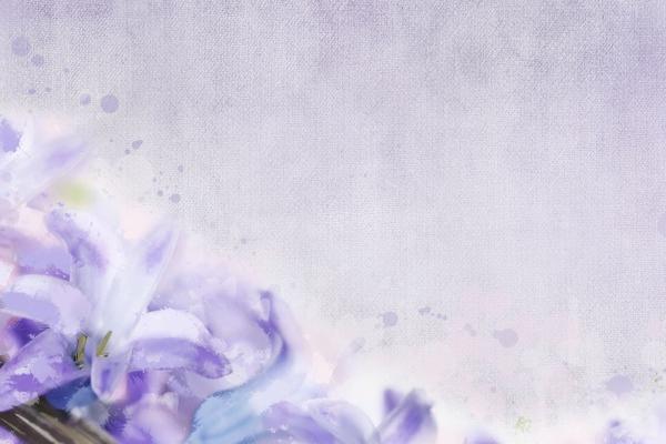 2024事业巅峰的星座 工作能力突出的星座