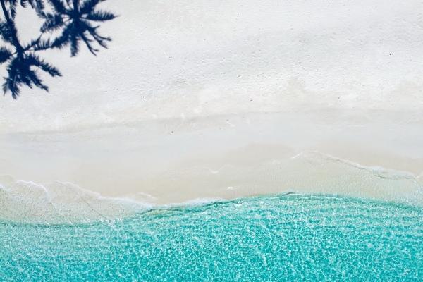 水瓶座的上升星座是什么 上升落水瓶性格怎样