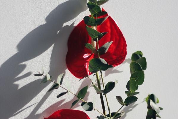 2024最强的星座天秤 运势强盛好运连连