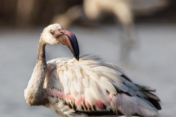 闹闹女巫 0917十二星座今日运势