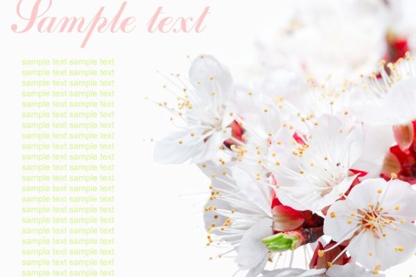 1977年属蛇46岁后好惨,会遇到哪些问题