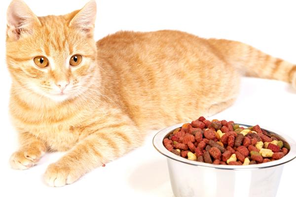 水瓶座和天秤座配对 为什么天秤害怕水瓶