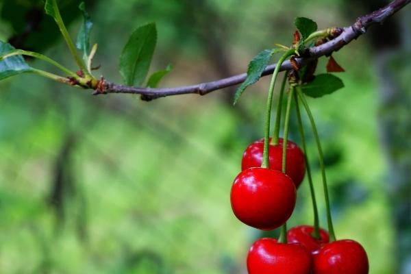 2024最有钱的星座 抓住机会迎接挑战