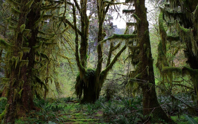 双子座和双鱼座最配对 双子座跟双鱼座搭配吗