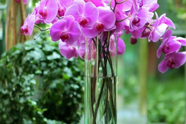 双子座和双鱼座适合做情侣吗 适合在一起吗