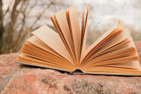 2024婚姻破裂的星座 2024婚姻旺盛的星座