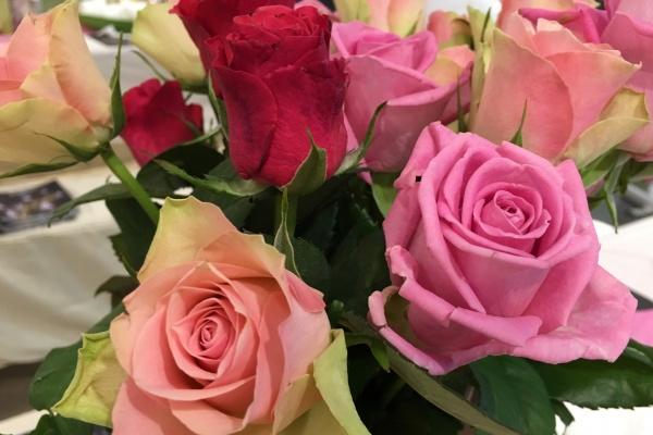 2023年犯太岁动土了怎么办，2023年不能动土的属相有哪些