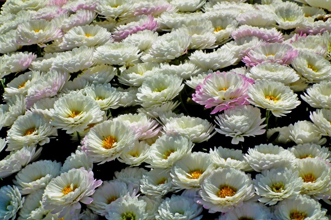 Alex 9.18—9.24本周重要星象