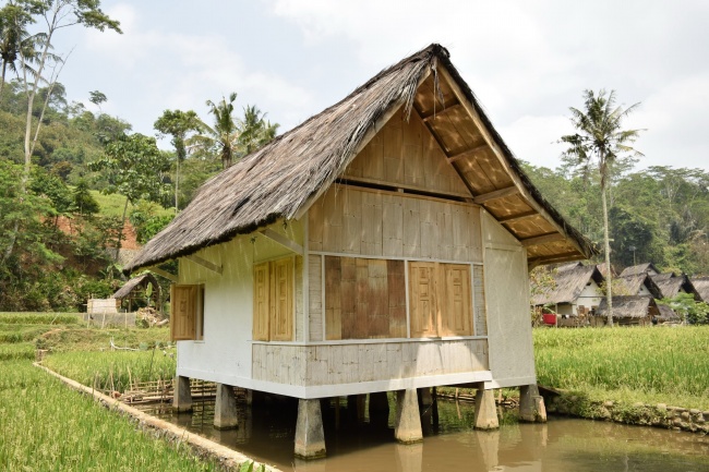 2024午属什么生肖呀 属龙宝宝的未来运势