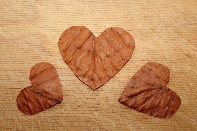 唐立淇 每日12星座运势9.18