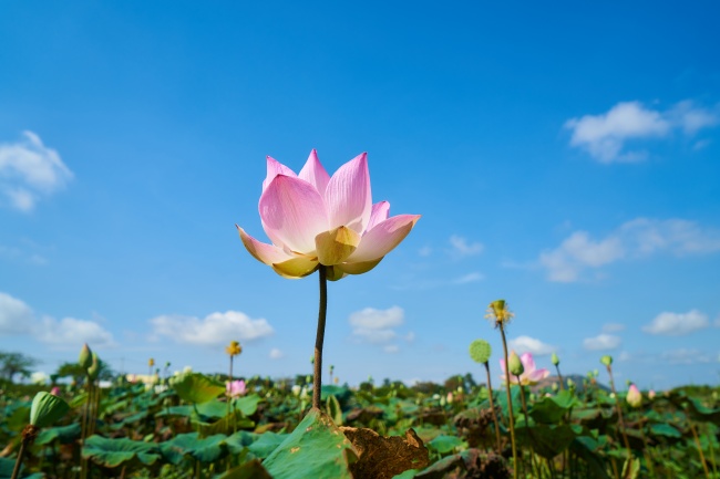 晚上12点多出生是什么时辰 子时初早年辛苦