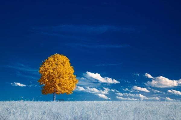 2024年最惨的星座 运势低迷的星座