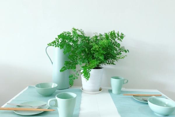 2024年幸运的星座 幸运连连收获满满