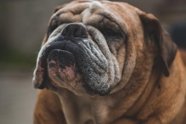 2024顺风顺水的星座 好运爆棚的星座