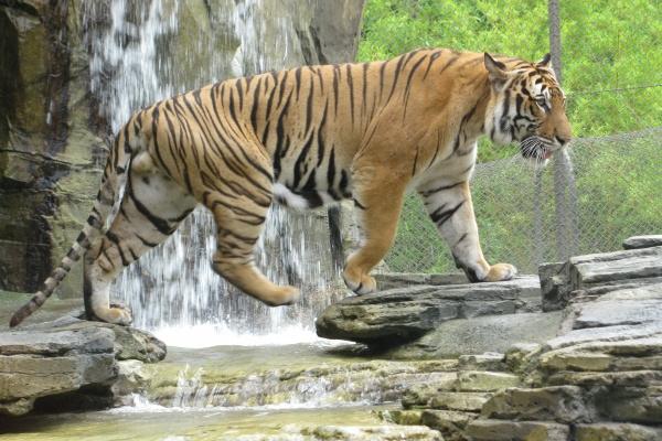 生理需求最强烈的星座女 欲望最强的女生