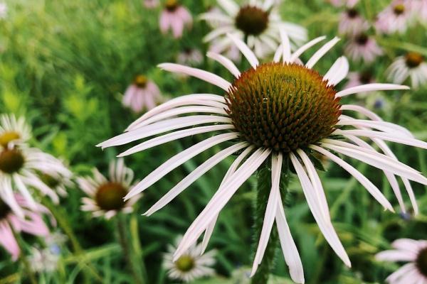 天蝎与射手座合不合 天蝎和射手的契合度