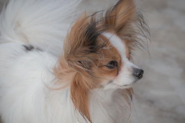 本命年是不是要买红内裤 本命年注意事项