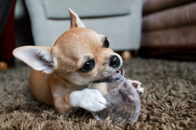 十二星座最喜欢的零食 好吃美味能解馋