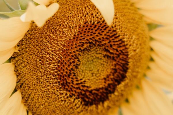 2024十二星座的运势 浅聊星座运势详情