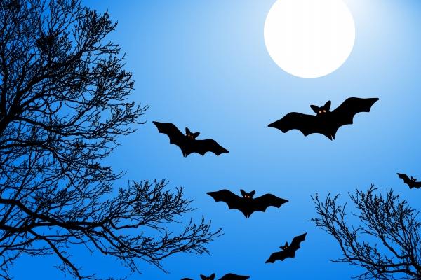 2024容易负债的星座 金星逆行处女负债