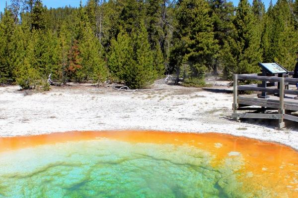 2024学业有成的星座 狮子争强好胜学习好