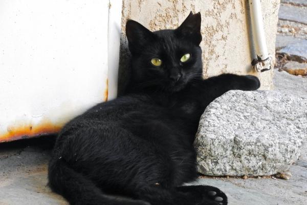 唐立淇 每日12星座运势9.27