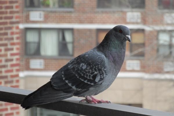 老天都不敢惹的星座女 个性独特维护自己